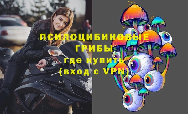 ПСИЛОЦИБИНОВЫЕ ГРИБЫ Володарск