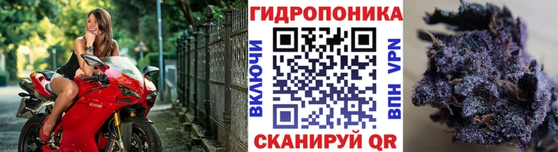 Купить закладки  Лысково  Марихуана SATIVA & INDICA 